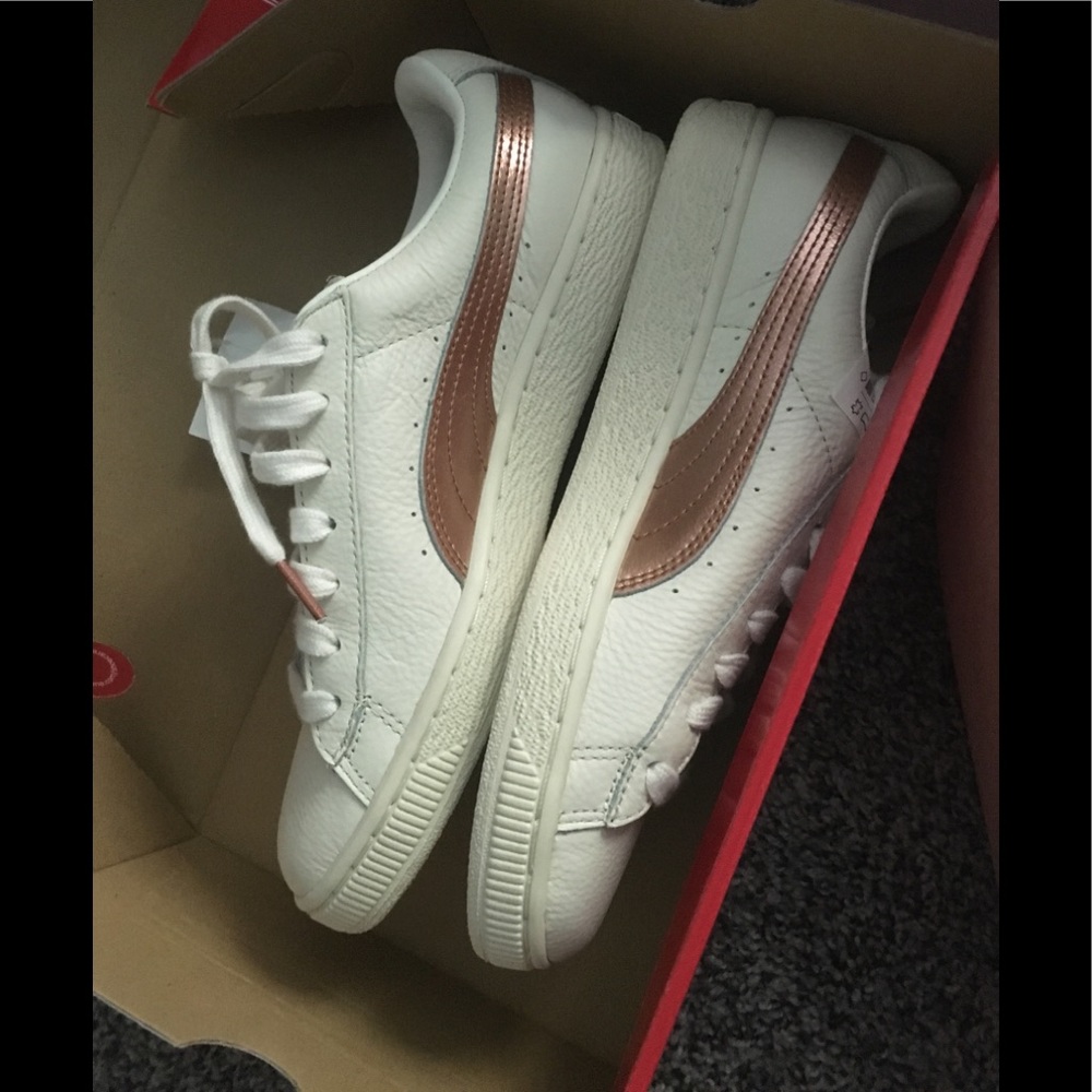 Pumas